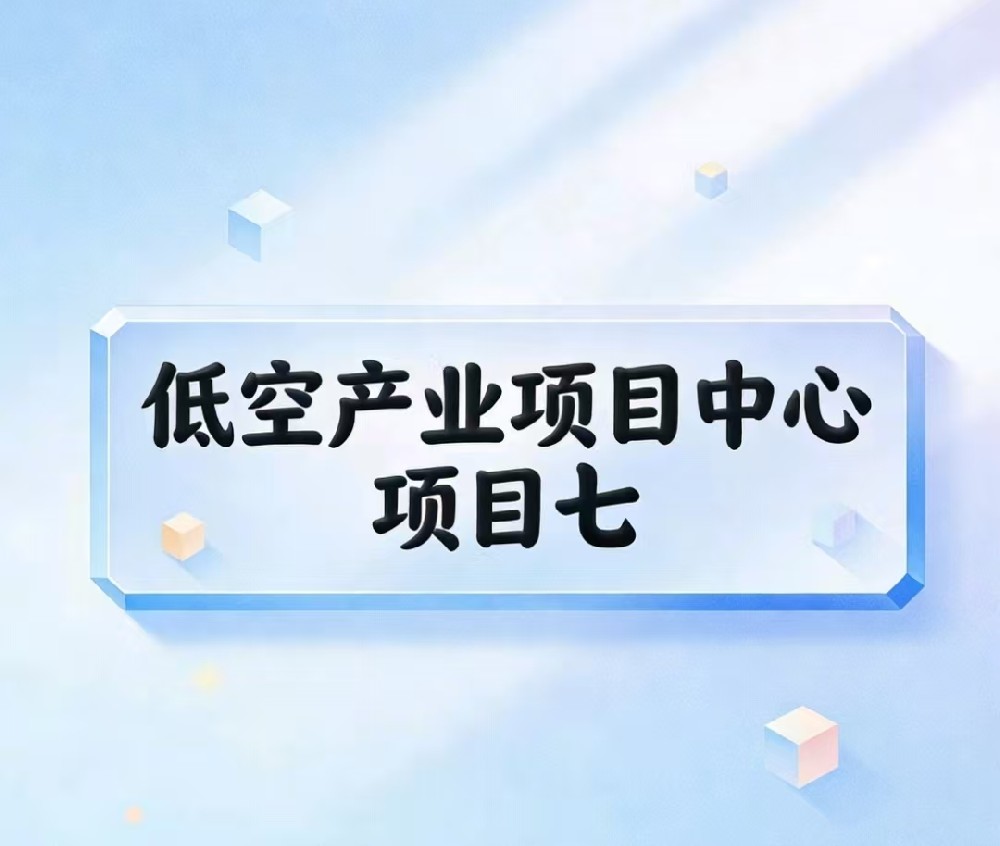 项目七：飞行营地及飞来者大会投资与运营
